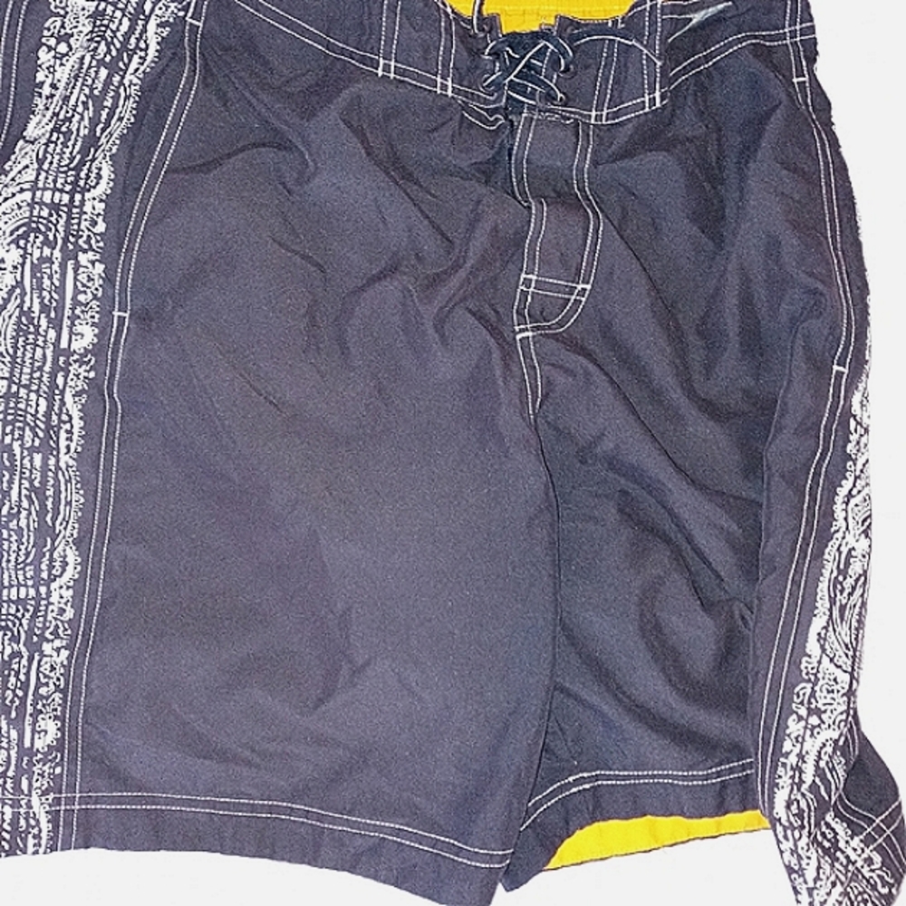 Speedo board shorts